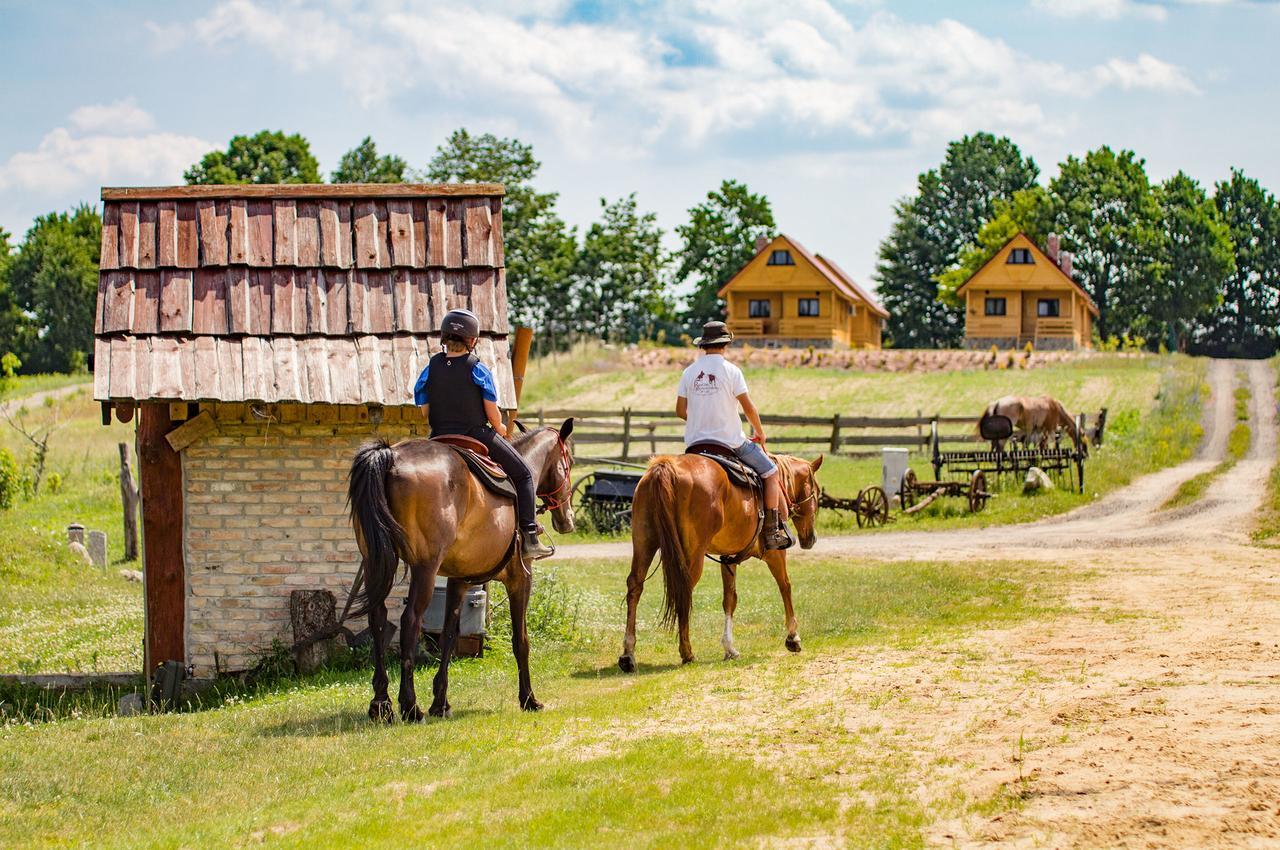 Osada Łagówek - domek letniskowy do wynajęcia Exterior foto